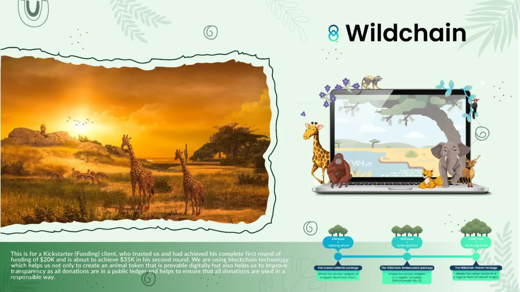 Play To Earn Portfolio-6